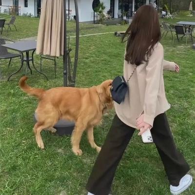 顽主